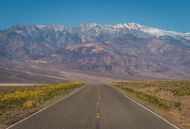 20240301 - Death Valley NP, CA, March 1-8, 2024, Remainder