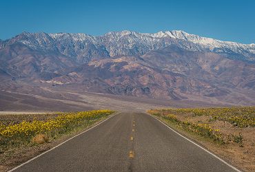 20250309 - Death Valley NP, CA, March 9-16, 2025, Remainder