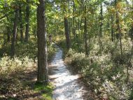 20241013 - New Jersey Pine Barrens, NJ, October 13-20, 2024 , Full Payment