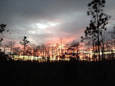 20260110 - Florida National Scenic Trail, FL, January 10-17, 2026, Full Payment
